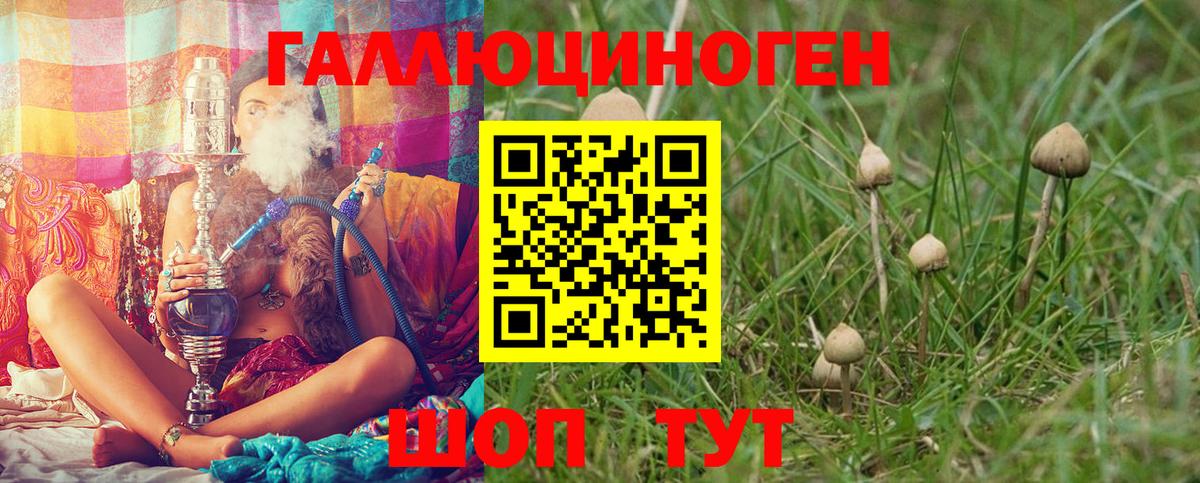 Псилоцибиновые грибы GOLDEN TEACHER  Вход с VPN  Псилоцибиновые грибы GOLDEN TEACHER  Всеволожск 